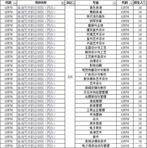珠海艺术职业学院的专业设置？（广东海珠工艺美术职业学院怎么样）