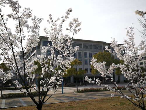 南邮校园环境怎么样？（南京邮电大学的校园环境怎么样）
