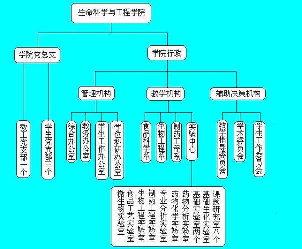兰州理工大学制药工程前景如何?(武汉理工制药工程中外合作怎么样)