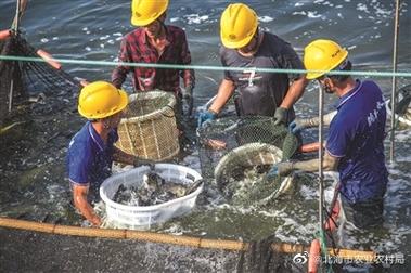 水产养殖专业怎么样？（从事水产养殖工作怎么样）