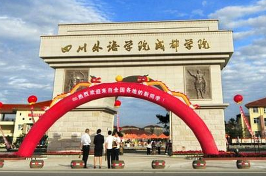 四川外国语大学成都学院什么专业好？（四川外国语成都学院航空专业怎么样）