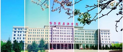 哈尔滨石油学院的学前教育怎么样？（哈尔滨石油学院幼师专业怎么样）
