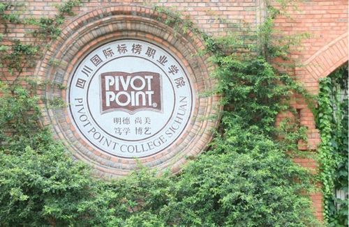 四川国际标榜职业学院好不好?我想学工业设计，会不会浪费了钱学不到东西？（成都四川国际标榜怎么样）