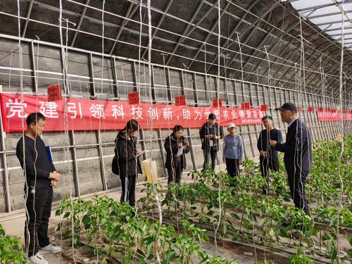 农业技术员前途如何？急？（乐未来教育科技 北京 有限公司怎么样啊）