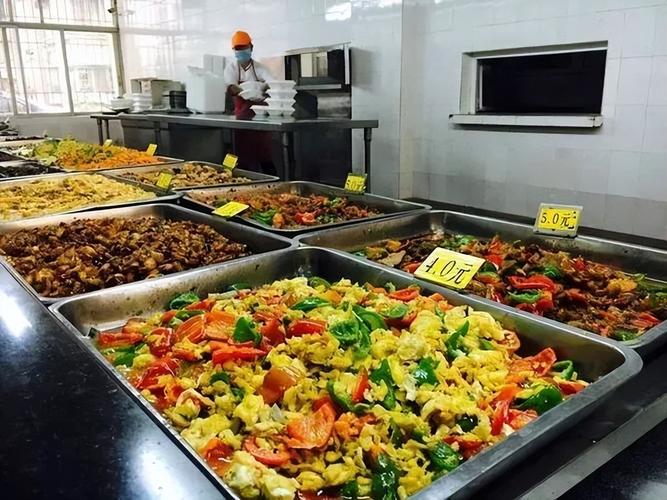 广东职业技术学院高明校区怎么样?(佛山职业技术学院伙食怎么样)
