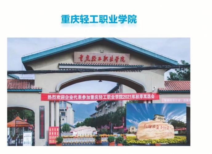 重庆轻工职业学院是公办还是民办？（轻工职业学院重庆怎么样）