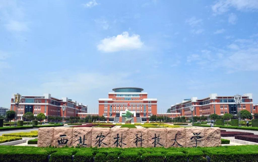 西北农林科技大学中外合作怎么样？（西农中外合作怎么样）