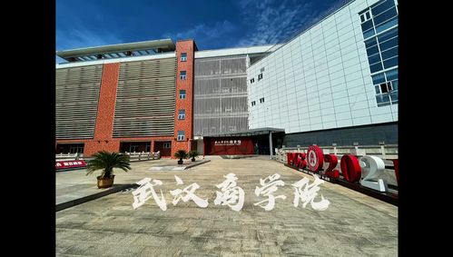 武汉商学院有多少在校生(武汉商业学院环境怎么样)