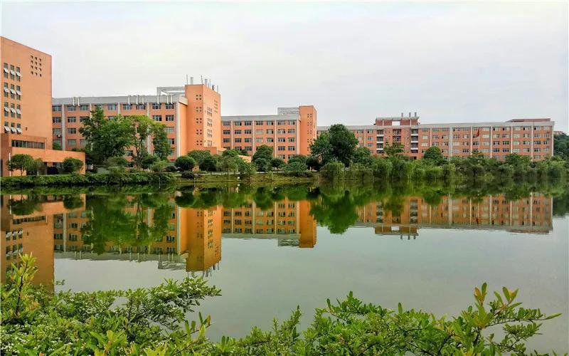 中南林业科技大学涉外学院氛围好吗?(中南林业大学涉外学院怎么样)