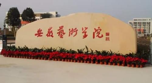 安职和安院的区别？（安徽艺术职业学院的人文学院怎么样）