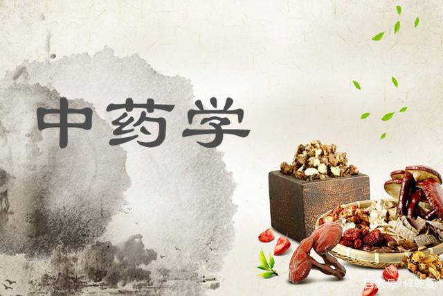 中药学含金量高吗？（中医药大学中药学前景怎么样）