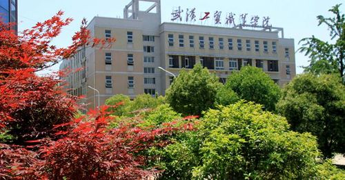 武汉商贸职业学院校风？（北京经贸职业学院校风怎么样）