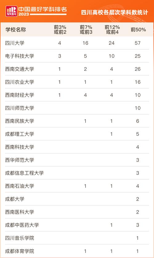 西南民族大学的计算机类怎么样?(西南民族大学的专业怎么样)