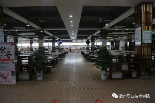 宿州实验中学好吗？（宿州职业技术学院伙食怎么样）
