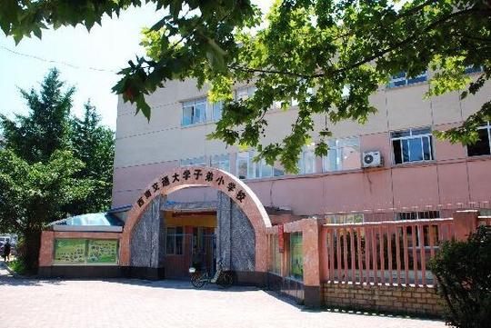 西安交大附属中学是私立还是公立?(上海交大子弟小学怎么样)