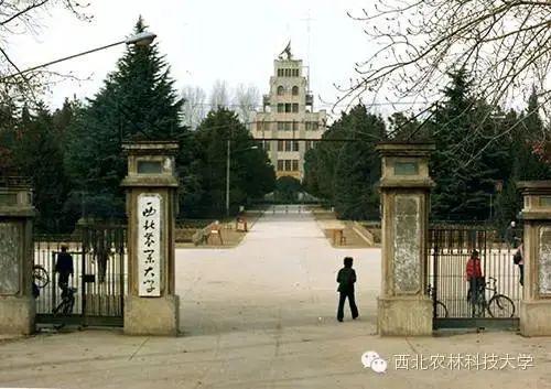 西农大的历史介绍？（西农大农学院怎么样）
