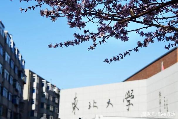东北大学在东北怎么样？（东北的大学怎么样）