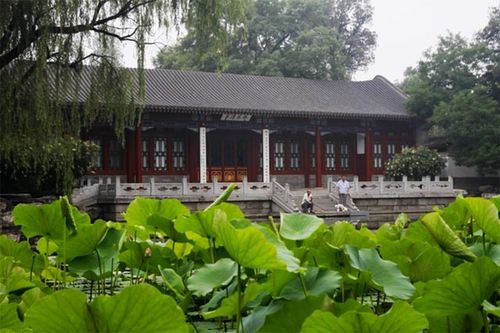 燕园北大荣一世水木清华是什么意思？（燕园草木怎么样）