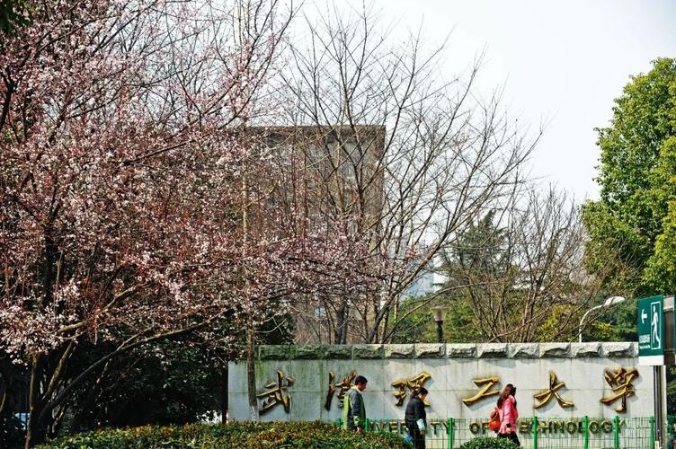 武汉理工大学经济学怎样？（武汉理工大学经济创业试点班怎么样）