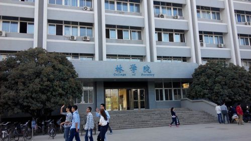 西北农林科技大学的经济学和金融学咋样？（咸阳西北农林科技大学怎么样）