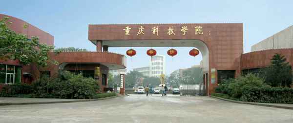 重庆科技学院化工与制药类怎样?(石油化工学院制药工程怎么样)