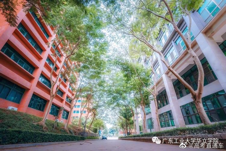 广东工业大学华立学院真的很差吗？求真相？（广东工业大学华立学院是怎么样）