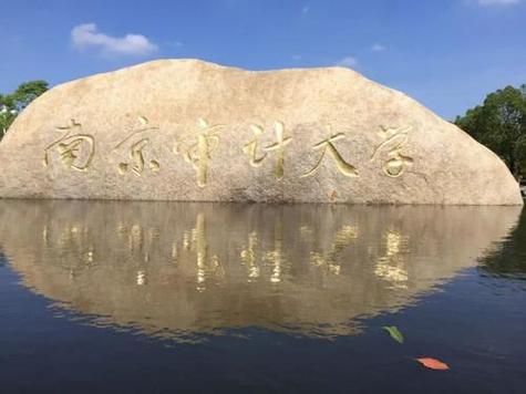 南京审计大学上岸的概率高吗?(南京审计大学审计学怎么样)