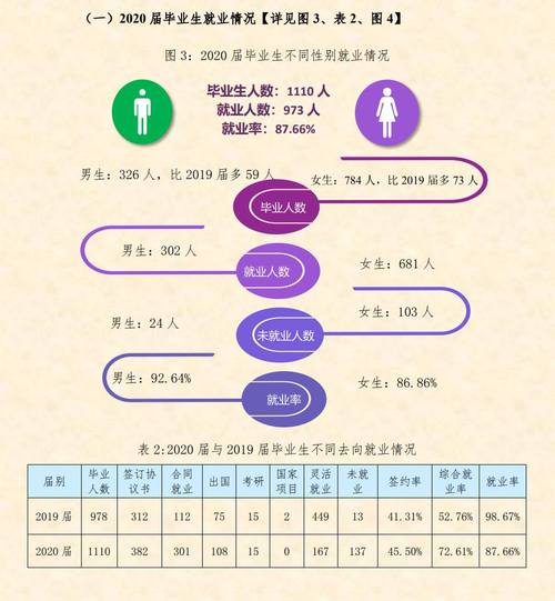 上海视觉艺术学院毕业生就业情况如何?(上海视觉就业怎么样)