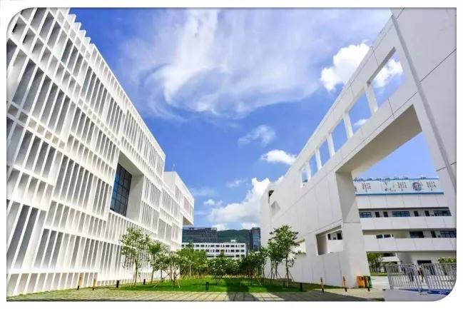 深圳大学附中怎么样？（深大的工程管理怎么样）