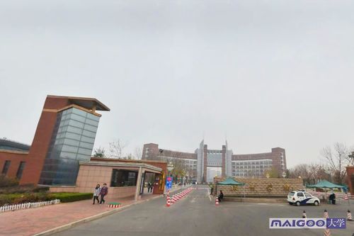 临沂大学建筑学怎么样？（滨州学院建筑学怎么样）