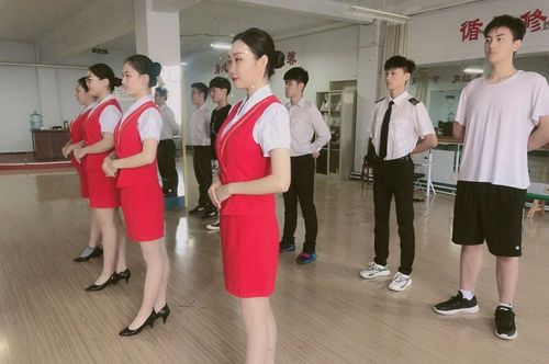 山师空乘专业是本科吗？（山师音乐表演专业怎么样）