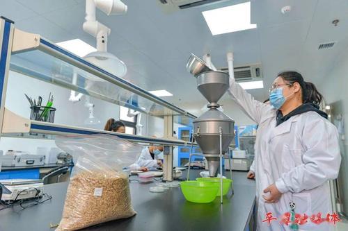 现在读，食品安全检测，这个专业出去后好找工作吗？（粮食检测专业就业怎么样）