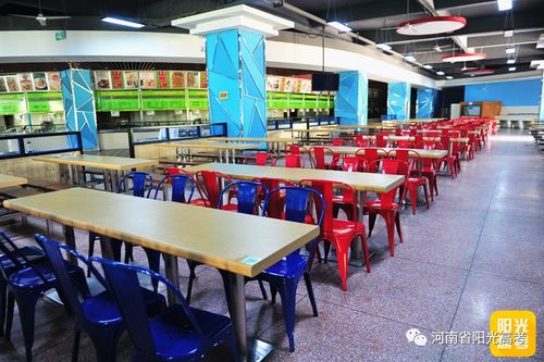 济源实验小学午餐是配餐还是食堂？（济源职业技术学院饭菜怎么样）