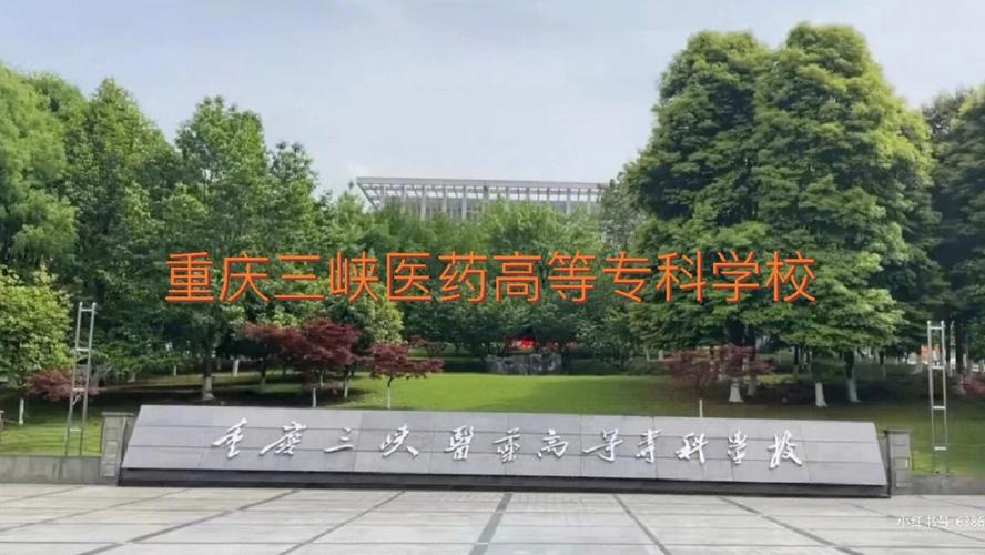 重庆医药高等专科学校是双高吗？（重庆三峡专医药学怎么样）