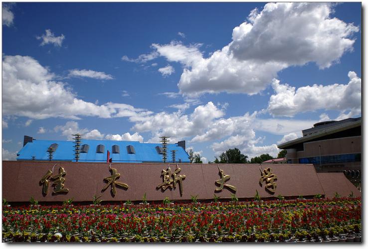 对佳木斯大学的评价?(佳木斯大学官网怎么样)