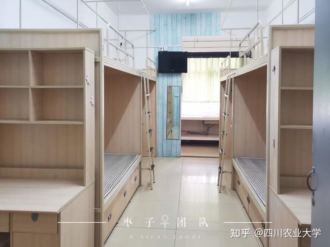成都大学16栋宿舍楼怎么样?(成都市所的宿舍怎么样)