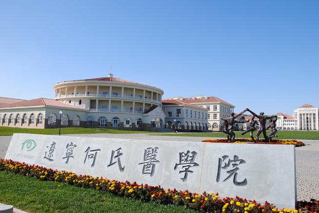 何氏医学院值不值得去？（何氏医学院大学怎么样）