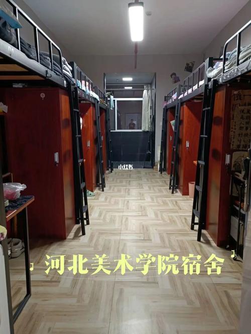 河北美术学院的宿舍怎么样？（美院宿舍的环境怎么样）