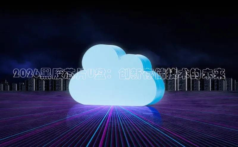 2026黑胶芯片U盘：创新存储技术的未来